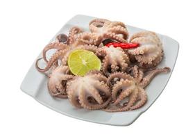 gekochter Oktopus auf dem Teller und weißem Hintergrund foto