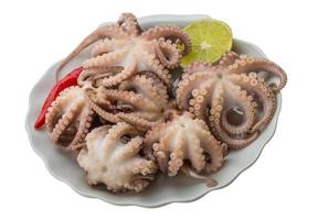 gekochter Oktopus auf dem Teller und weißem Hintergrund foto