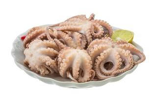 gekochter Oktopus auf dem Teller und weißem Hintergrund foto