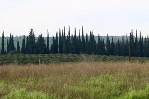 Landschaft in den Bergen im Norden Israels. foto