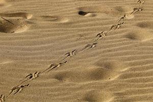 Fußspuren im Sand am Ufer des Mittelmeers. foto