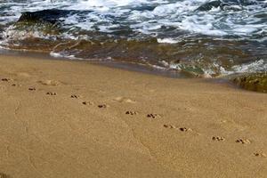 Fußspuren im Sand am Ufer des Mittelmeers. foto