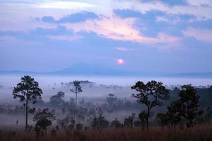 landschaft nebel im morgendlichen sonnenaufgang im thung salang luang nationalpark phetchabun, tung slang luang ist grasland-savanne in thailand foto