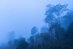 landschaftsnebel am morgen vor sonnenaufgang im thung salang luang nationalpark phetchabun, tung slang luang ist eine savanne in thailand foto