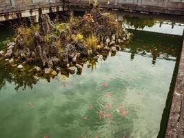 Wasserteich und Fische im Wasser vor dem Tianmen-Tempel auf dem Tianmen-Berg in Zhangjiajie, China foto