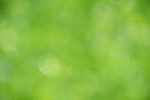 Naturansicht des grünen Blattes auf unscharfem grünem Hintergrund im Garten mit Kopienraum unter Verwendung der natürlichen grünen Pflanzenlandschaft des Hintergrundes, Ökologie, frische Tapete foto