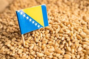 Getreideweizen mit Flagge von Bosnien und Herzegowina, Handelsexport und Wirtschaftskonzept. foto