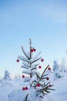 Weihnachtskugeln am Baum foto