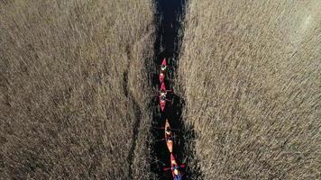 Gruppe von Menschen in Kajaks zwischen Schilf am Herbstfluss. foto