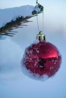 Weihnachtskugeln am Baum foto