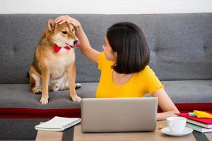 asiatische frau, die an einem laptop arbeitet, und shiba inu hund, der zu hause auf einem sofa sitzt foto