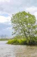 starker regen sturm wolken wind wellen wasser oste deutschland. foto