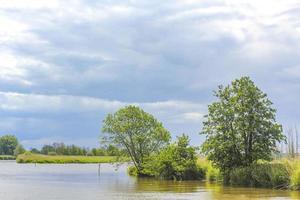 schöne naturlandschaft aussicht panorama wald oste fluss wasser deutschland. foto