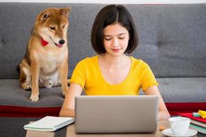 asiatische frau, die an einem laptop arbeitet, und shiba inu hund, der zu hause auf einem sofa sitzt foto