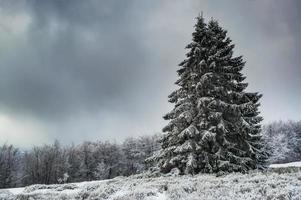 Blick auf die Berge foto