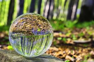 Glaskugel in der Natur foto