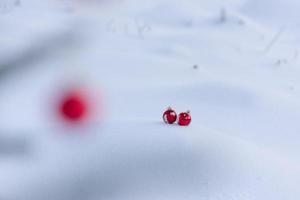 rote weihnachtskugeln im frischen schnee foto