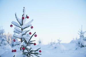 Weihnachtskugeln am Baum foto