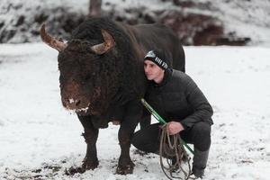 Fighter Bull Whisper, ein Mann, der an einem verschneiten Wintertag auf einer Waldwiese einen Stier trainiert und ihn auf einen Kampf in der Arena vorbereitet. Stierkampf-Konzept. foto