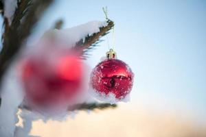 Weihnachtskugeln auf Kiefer foto