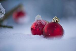 rote weihnachtskugeln im frischen schnee foto