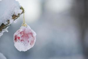 rote weihnachtskugeln im frischen schnee foto