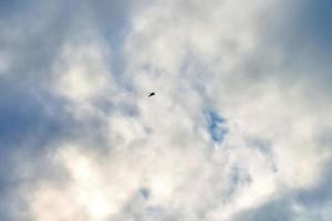 Silhouette des Vogelfliegens im blauen Himmel mit weißen Wolken foto