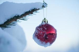 Weihnachtskugeln am Baum foto