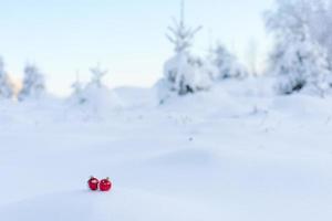 rote weihnachtskugeln im frischen schnee foto