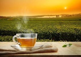 Teetasse mit Sackleinen auf dem Holztisch und dem Hintergrund der Teeplantagen, Sonnenaufgangszeit foto