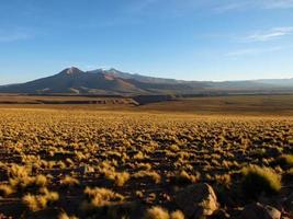 Sonnenuntergang über der bolivianischen Hochwüste