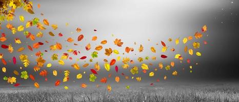 Bunte helle Blätter, die in den herbstlichen Park fallen. foto