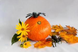 ein orangefarbener Kürbis, Ahornblätter, gelbe Blumen und zwei Spinnen. das konzept von halloween. Platz für Ihren Text foto