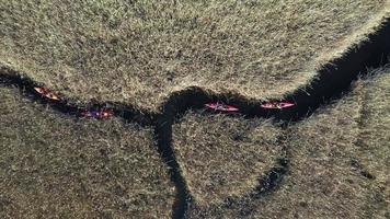 Gruppe von Menschen in Kajaks zwischen Schilf am Herbstfluss. foto