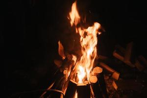 schönes Feuer im Wald auf schwarzem Hintergrund. foto