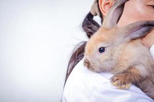 der tierarzt trug das kleine braune kaninchen jeden monat zur untersuchung. konzept von haustieren, vorbeugung von keimen für den menschen. Platz kopieren foto