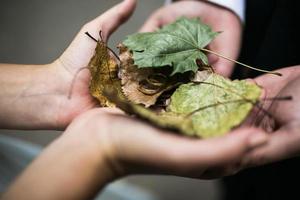 braut und bräutigam, die hochzeitsringe und herbstblätter in den händen halten foto