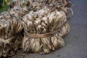 Jute-Pflanzenfaser, hängende rohe Jutefaser foto