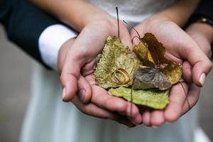 braut und bräutigam, die hochzeitsringe und herbstblätter in den händen halten foto