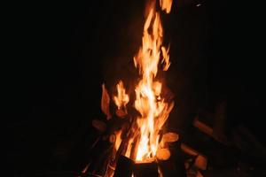 schönes Feuer im Wald auf schwarzem Hintergrund. foto