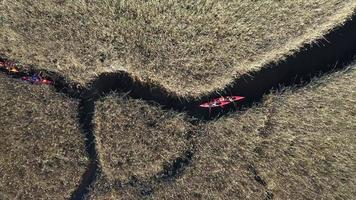 Gruppe von Menschen in Kajaks zwischen Schilf am Herbstfluss. foto