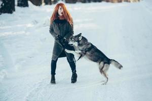schönes Mädchen mit Hund Husky im verschneiten Wald foto