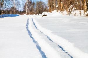 skispur auf schneefeld am sonnigen wintertag foto