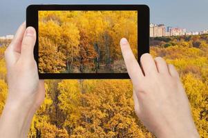 Bild von gelben Wäldern im Herbst auf Tablet-PC foto