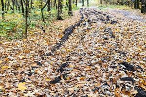 landstraße mit spurrillen, die mit abgefallenen blättern bedeckt sind foto