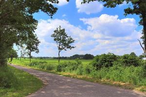 schöne aussicht auf landstraßen mit feldern und bäumen in nordeuropa foto