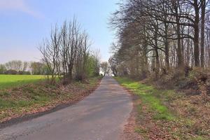 schöne aussicht auf landstraßen mit feldern und bäumen in nordeuropa foto