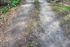 schöne aussicht auf landstraßen mit feldern und bäumen in nordeuropa foto