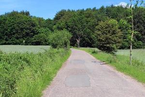 schöne aussicht auf landstraßen mit feldern und bäumen in nordeuropa foto