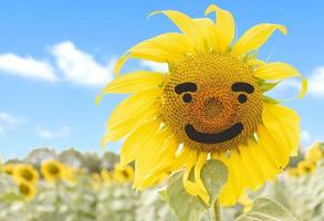 Nahaufnahme Sonnenblume mit Auge und Lächeln auf blauem Himmelshintergrund foto